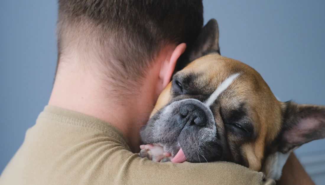 Why Do Dogs Sniff My Ears?
